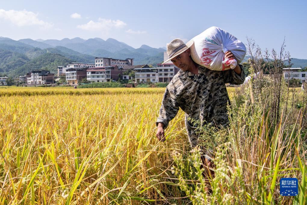 浩博登陆网址是多少